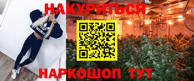 стаф Гусев