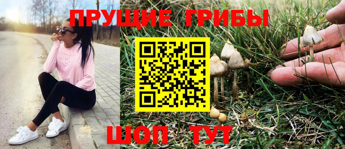 Галлюциногенные грибы MAGIC MUSHROOMS Новороссийск