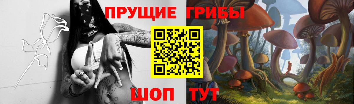Галлюциногенные грибы MAGIC MUSHROOMS  Вход с VPN  Псилоцибиновые грибы мухоморы  Новороссийск 